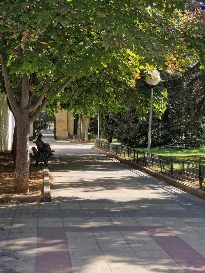 Villa Toston City Salamanca Bagian luar foto